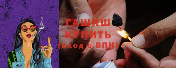 дурь Няндома