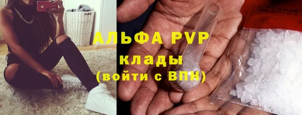дурь Няндома