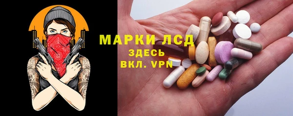 твердый Тайга