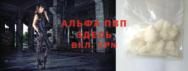 СК Туринск