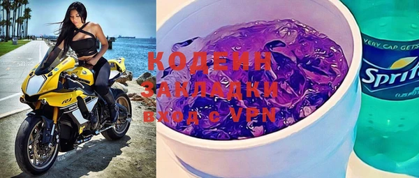 дурь Няндома