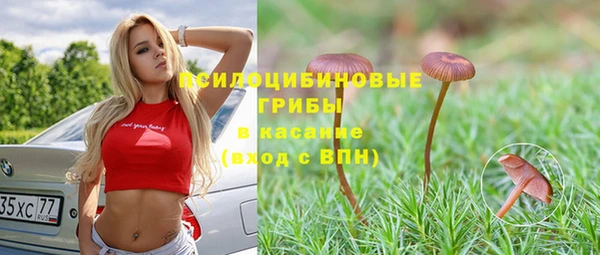 дурь Няндома