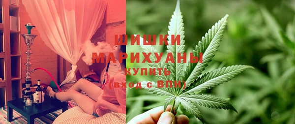 дурь Няндома