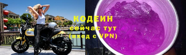 дурь Няндома