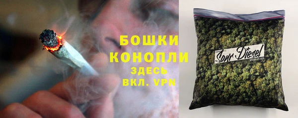 дурь Няндома