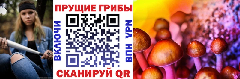 гидра ТОР  Плавск  Псилоцибиновые грибы Psilocybine cubensis 